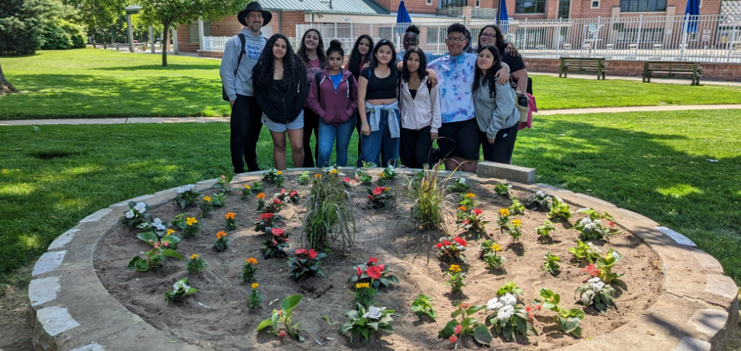 Beautification Cover