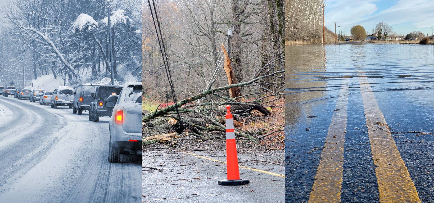 Emergency Management